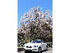 庶民（わたし）にはもったいないくらい、いい車です。