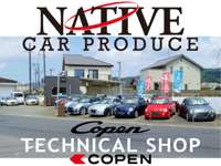 ＣＡＲ　ＰＲＯＤＵＣＥ　ＮＡＴＩＶＥ 