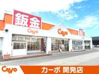 カーボ　開発店 